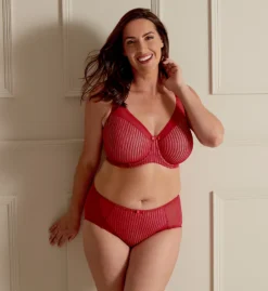 Berlei Beauty Stripe Underwired Minimizer Bra B541 -Allure Wear Shop berlei berl01 b541 cs6