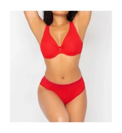 Curvy Couture Sheer Mesh Plunge Push Up Underwire Bra 1310 -Allure Wear Shop curvy couture cuco01 1310 cs4