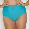 Curvy Kate Sheer Class High Waist Brief Swim Bottom CS1505 -Allure Wear Shop curvy kate cuka01 cs1505 gs