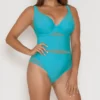 Curvy Kate Sheer Class Plunge One Piece Swimsuit CS1605