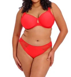 Elomi Charley Underwire Spacer T-Shirt Bra EL4383 -Allure Wear Shop elomi elom01 el4383 cs4