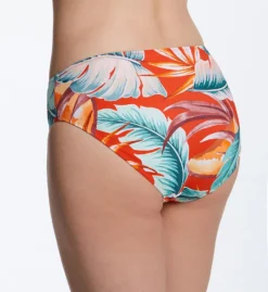 Fantasie Bamboo Grove Mid Rise Brief Swim Bottom FS1672 -Allure Wear Shop fantasie fan001 fs1672 bs