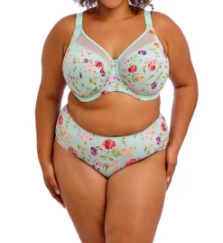 Goddess Kayla Banded Underwire Bra GD6162 -Allure Wear Shop goddess god01 gd6162 cs5